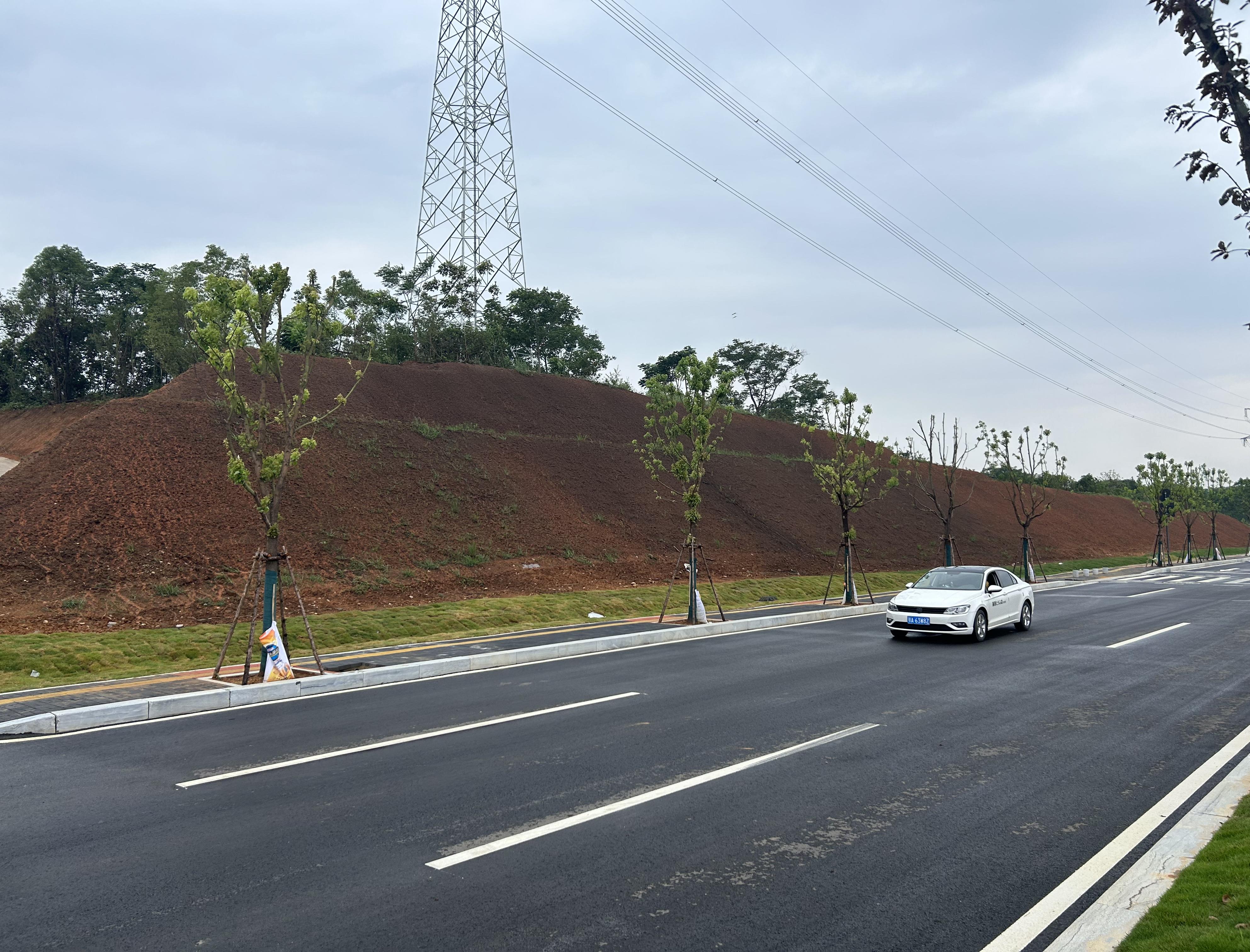 白洋臨港大道上段（田家河大道-天螺寺路）綜合市政工程邊坡綠化工程 順利完工！