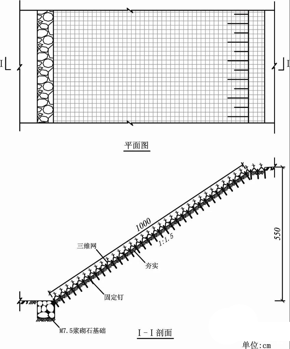 三維植被網(wǎng)護坡植草技術(shù)