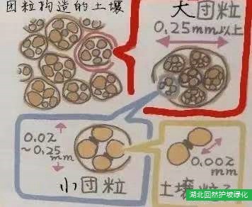 混合纖維團(tuán)粒噴播植被恢復(fù)技術(shù)